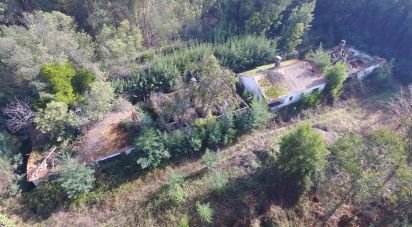 Terrain à Pinheiro da Bemposta, Travanca e Palmaz de 20 500 m²