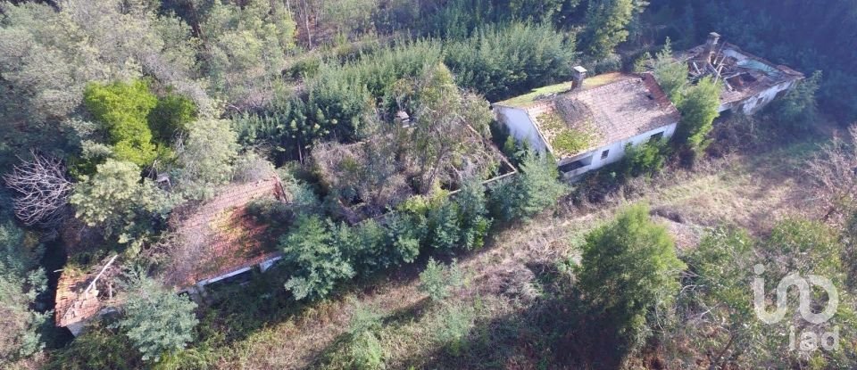 Terreno em Pinheiro da Bemposta, Travanca e Palmaz de 20 500 m²