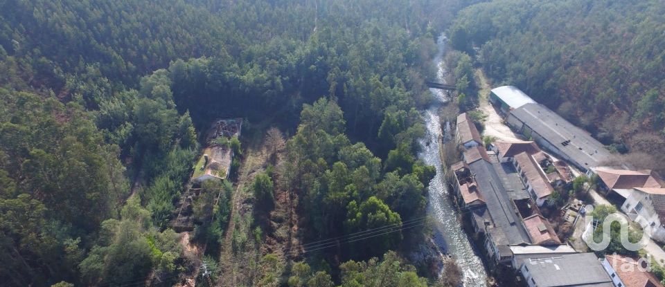 Terreno em Pinheiro da Bemposta, Travanca e Palmaz de 20 500 m²