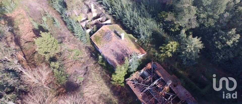 Terreno em Pinheiro da Bemposta, Travanca e Palmaz de 20 500 m²