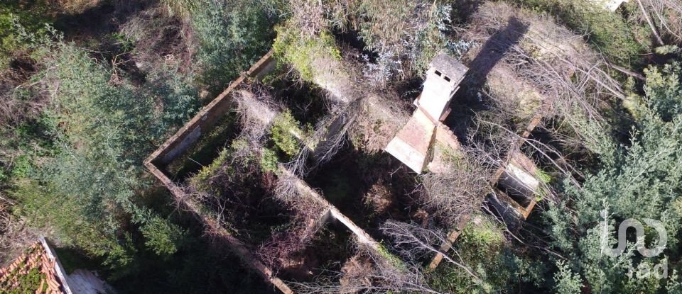 Terreno em Pinheiro da Bemposta, Travanca e Palmaz de 20 500 m²