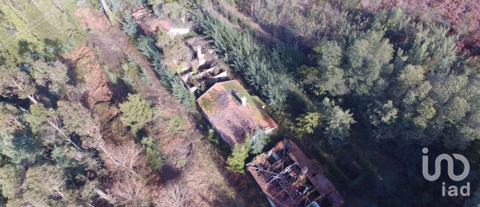 Terreno em Pinheiro da Bemposta, Travanca e Palmaz de 20 500 m²