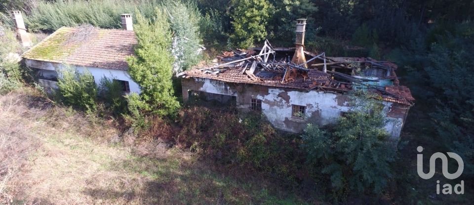 Terreno em Pinheiro da Bemposta, Travanca e Palmaz de 20 500 m²