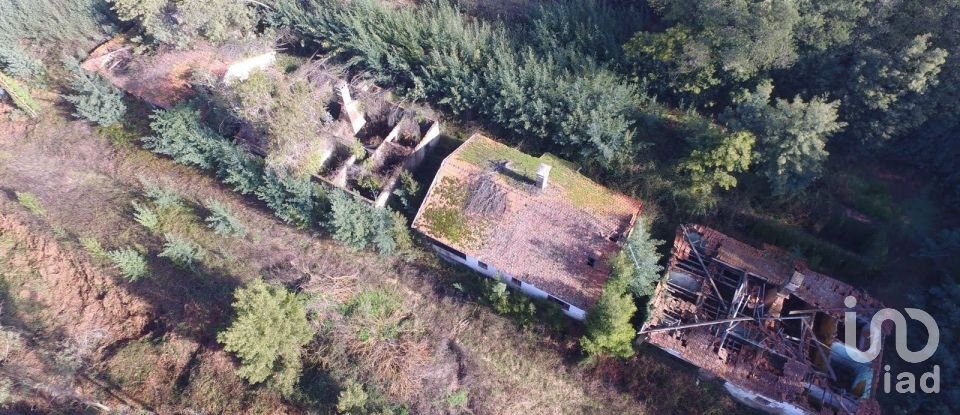 Terreno em Pinheiro da Bemposta, Travanca e Palmaz de 20 500 m²