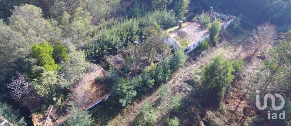 Terreno em Pinheiro da Bemposta, Travanca e Palmaz de 20 500 m²