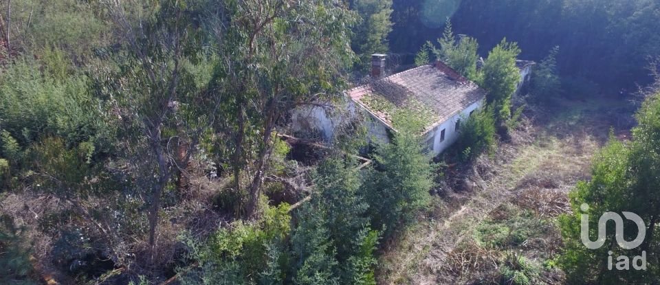 Terreno em Pinheiro da Bemposta, Travanca e Palmaz de 20 500 m²