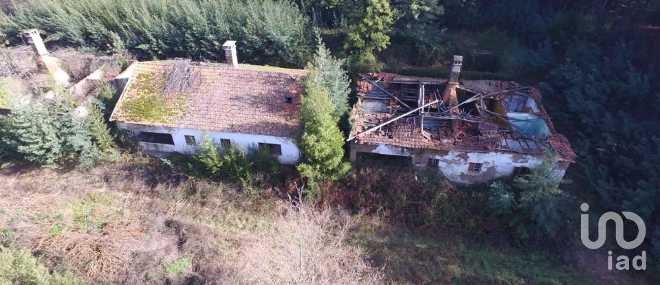 Terreno em Pinheiro da Bemposta, Travanca e Palmaz de 20 500 m²