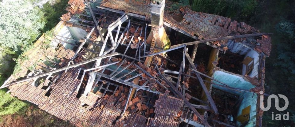 Terreno em Pinheiro da Bemposta, Travanca e Palmaz de 20 500 m²