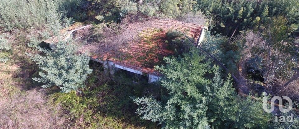 Terreno em Pinheiro da Bemposta, Travanca e Palmaz de 20 500 m²