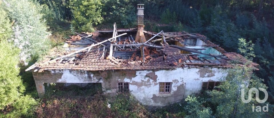 Terreno em Pinheiro da Bemposta, Travanca e Palmaz de 20 500 m²