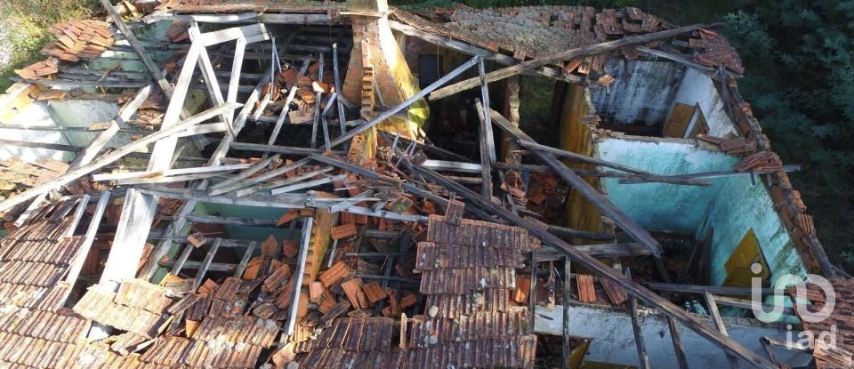 Terreno em Pinheiro da Bemposta, Travanca e Palmaz de 20 500 m²