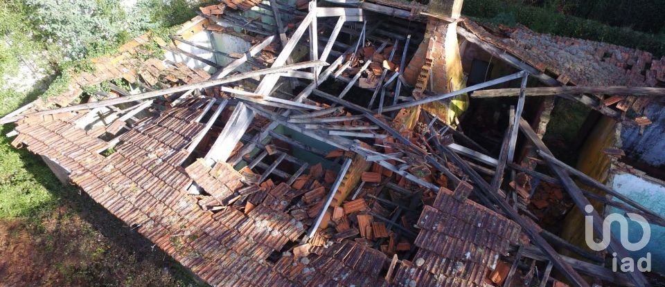 Terreno em Pinheiro da Bemposta, Travanca e Palmaz de 20 500 m²