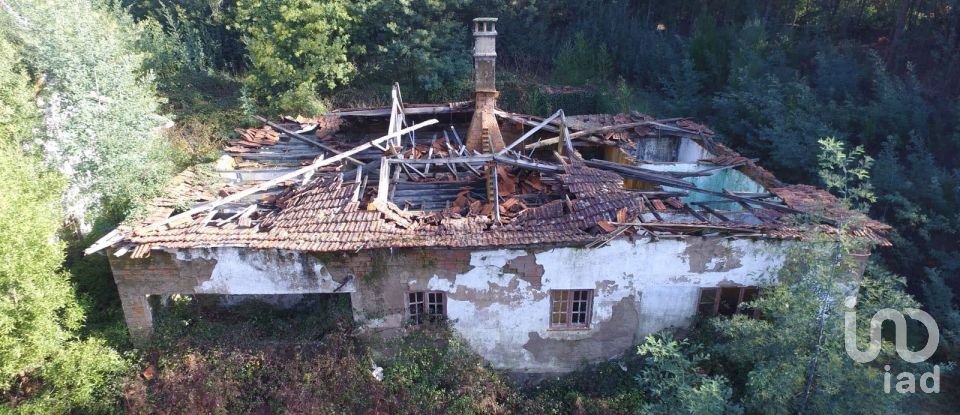 Terreno em Pinheiro da Bemposta, Travanca e Palmaz de 20 500 m²