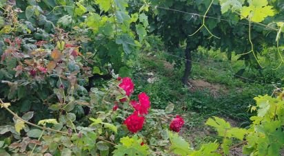 Maison traditionnelle T3 à Gouveia de 224 m²