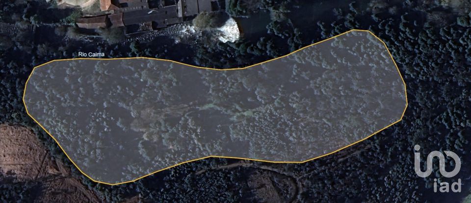 Terreno em Pinheiro da Bemposta, Travanca e Palmaz de 20 500 m²