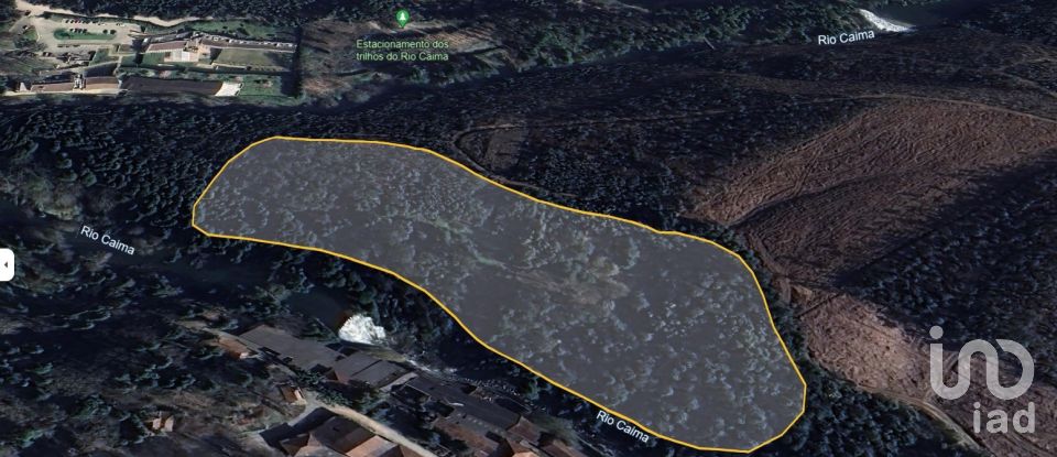 Terreno em Pinheiro da Bemposta, Travanca e Palmaz de 20 500 m²