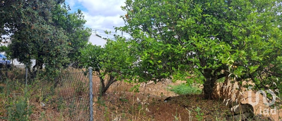 Village house T2 in São Brás de Alportel of 89 m²