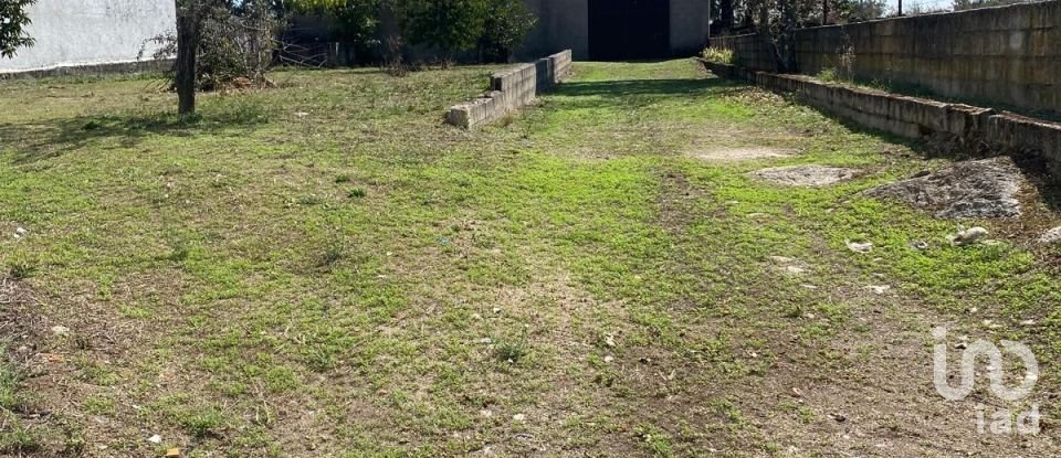 Maison de village T6 à Pínzio de 360 m²