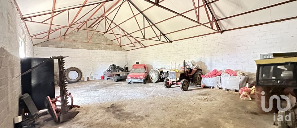 Maison de village T6 à Pínzio de 360 m²