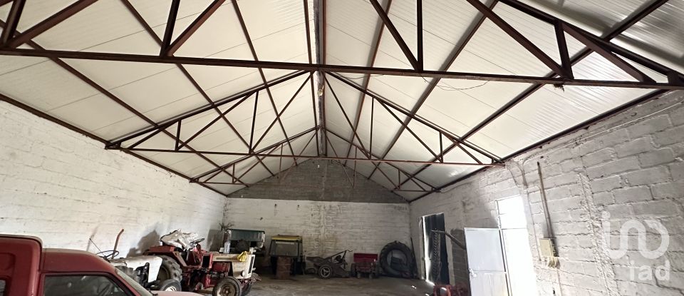 Maison de village T6 à Pínzio de 360 m²