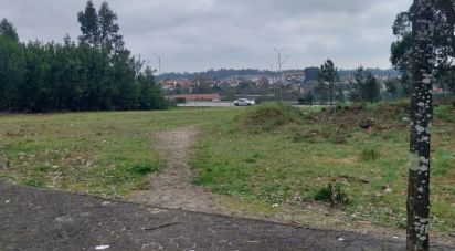 Terrain à bâtir à Ovar, São João, Arada e São Vicente de Pereira Jusã de 10 940 m²