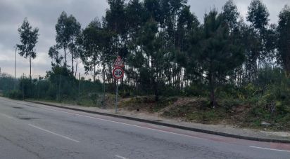 Terrain à bâtir à Ovar, São João, Arada e São Vicente de Pereira Jusã de 10 940 m²