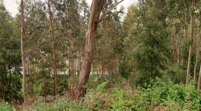 Building plot in Sandim, Olival, Lever e Crestuma of 2,900 m²