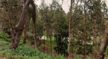 Building plot in Sandim, Olival, Lever e Crestuma of 2,900 m²