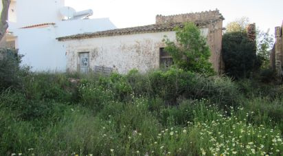 Gîte T4 à Boliqueime de 170 m²