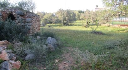 Gîte T4 à Boliqueime de 170 m²