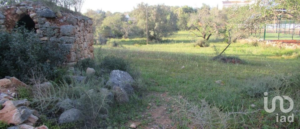 Gîte T4 à Boliqueime de 170 m²