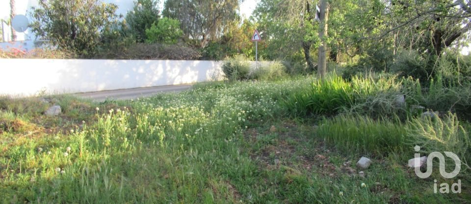 Gîte T4 à Boliqueime de 170 m²