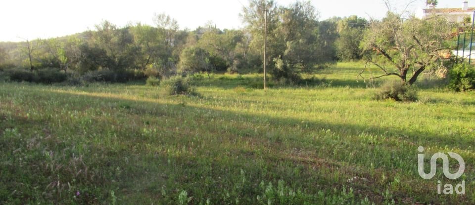 Gîte T4 à Boliqueime de 170 m²