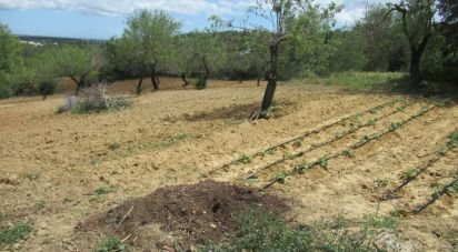 Terrain agricole à Boliqueime de 2 200 m²