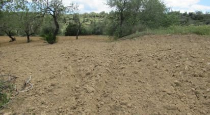 Terrain agricole à Boliqueime de 2 200 m²