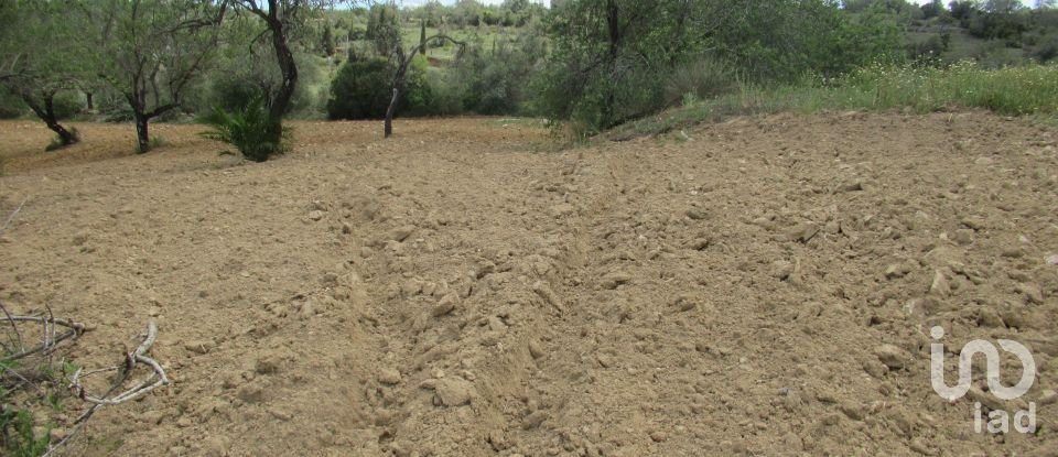 Terreno rústico em Boliqueime de 2 200 m²