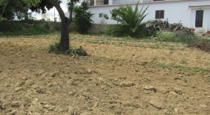 Terrain agricole à Boliqueime de 2 200 m²