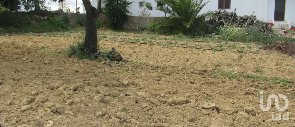 Terreno rústico em Boliqueime de 2 200 m²