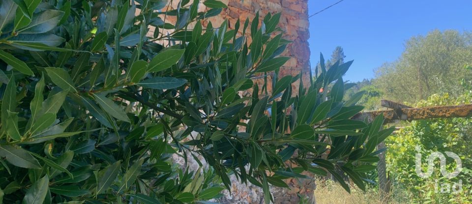 Maison de village T0 à Pedrógão Grande de 181 m²