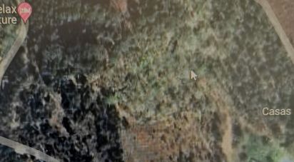 Land in Covas of 13,000 m²