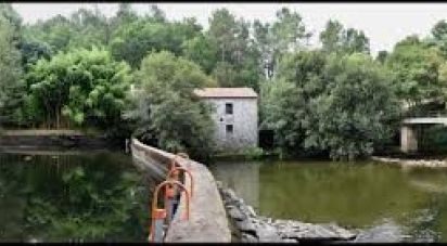 Land in Covas of 13,000 m²