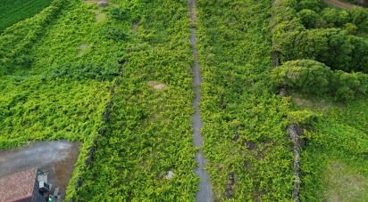 Terrain à Santa Luzia de 2 914 m²