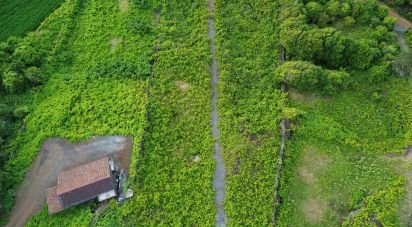 Terrain à Santa Luzia de 2 914 m²