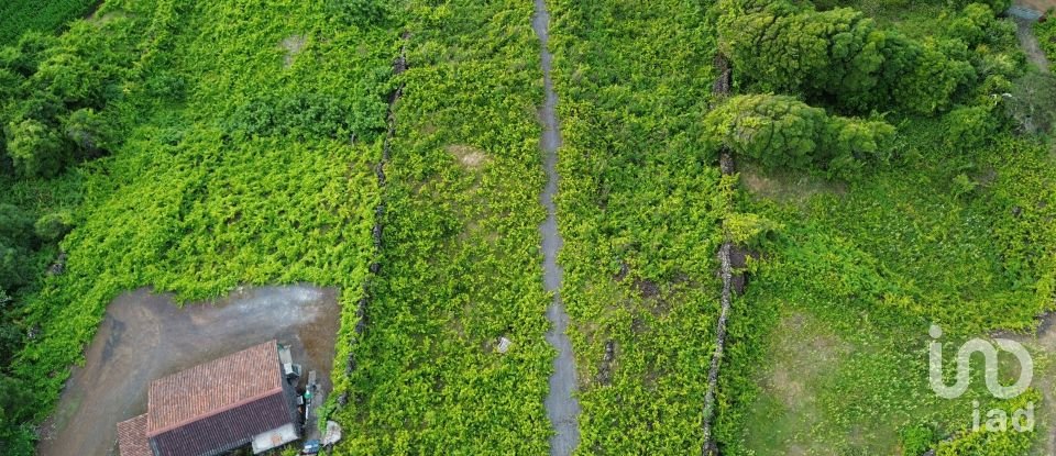 Terrain à Santa Luzia de 2 914 m²