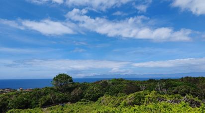 Terrain à Santa Luzia de 2 914 m²