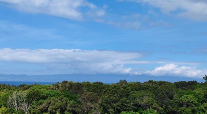 Terrain à Santa Luzia de 2 914 m²