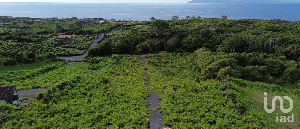 Terrain à Santa Luzia de 2 914 m²