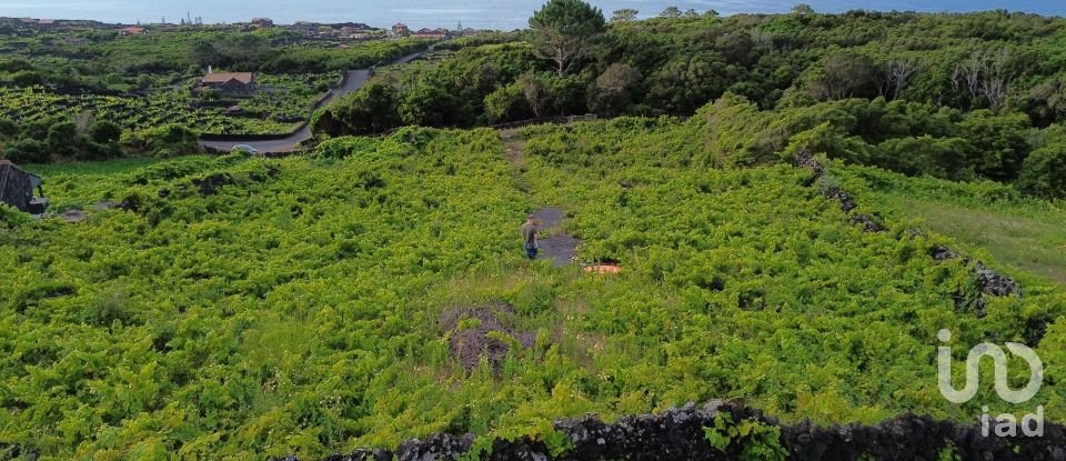 Terrain à Santa Luzia de 2 914 m²