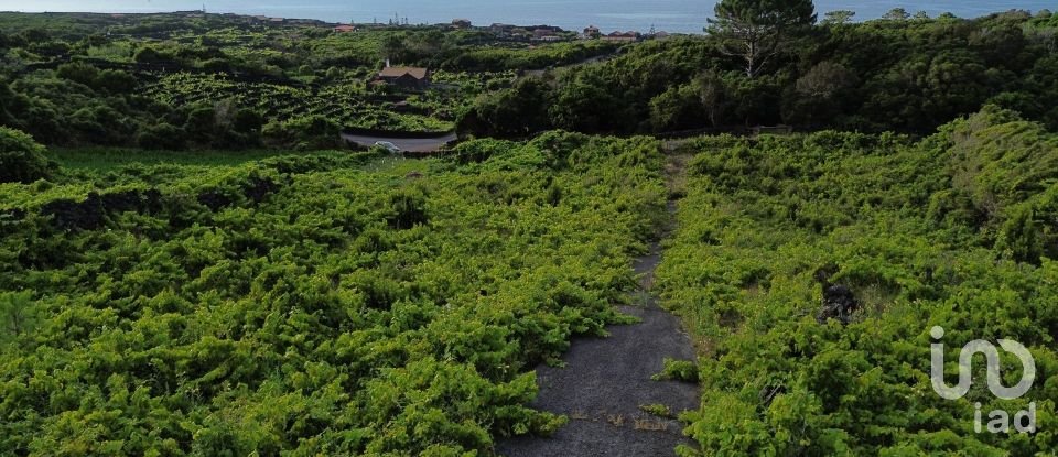 Terrain à Santa Luzia de 2 914 m²