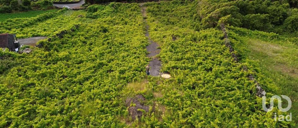 Terrain à Santa Luzia de 2 914 m²